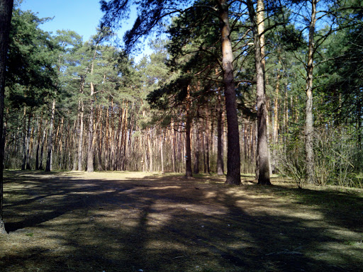 Пикниковый городок N3