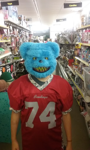 Home Goods Store «Dollar General», reviews and photos, 1313 TN-100, Centerville, TN 37033, USA