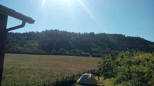 Live Music Venue «The Birk», reviews and photos, 11139 OR-202, Birkenfeld, OR 97016, USA