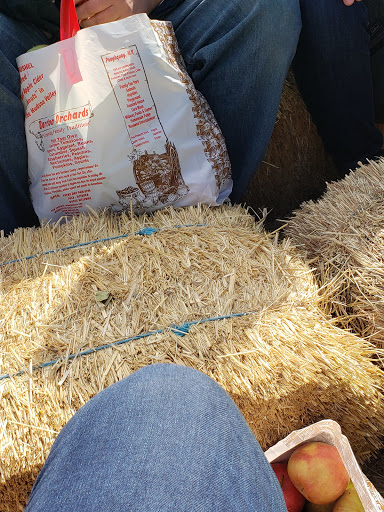 Orchard «Barton Orchards - Noxon Road Store Open Year Round - The Farm is CLOSED for the Season.», reviews and photos, 63 Apple Tree Ln, Poughquag, NY 12570, USA