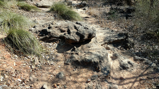 Public Golf Course «Lady Bird Johnson Golf Course», reviews and photos, 341 Golfers Loop, Fredericksburg, TX 78624, USA