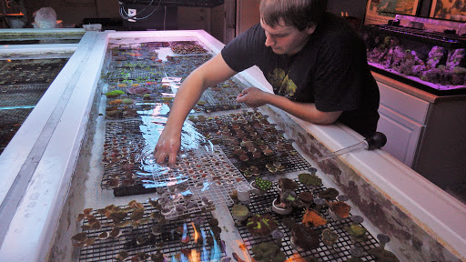 Pacific East Aquaculture, 107 School St, Mardela Springs, MD 21837, USA, 