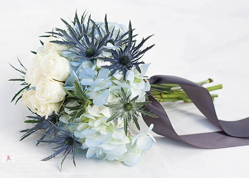 Florist «Joseph Genuardi Florist Inc», reviews and photos, 410 E Fornance St, Norristown, PA 19401, USA