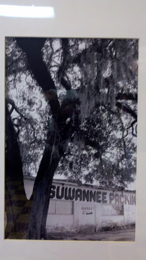 Shopping Mall «South Oaks Shopping Center», reviews and photos, 1546 S Ohio Ave, Live Oak, FL 32064, USA