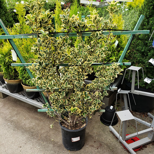 Home Improvement Store «The Home Depot», reviews and photos, 325 120th Ave NE, Bellevue, WA 98005, USA