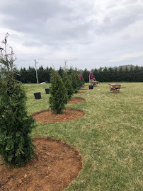 TFG Outdoors - Photo 3 - Car repair in Baltimore, MD, Baltimore