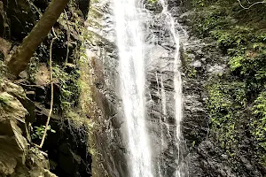 Dajin Waterfall image