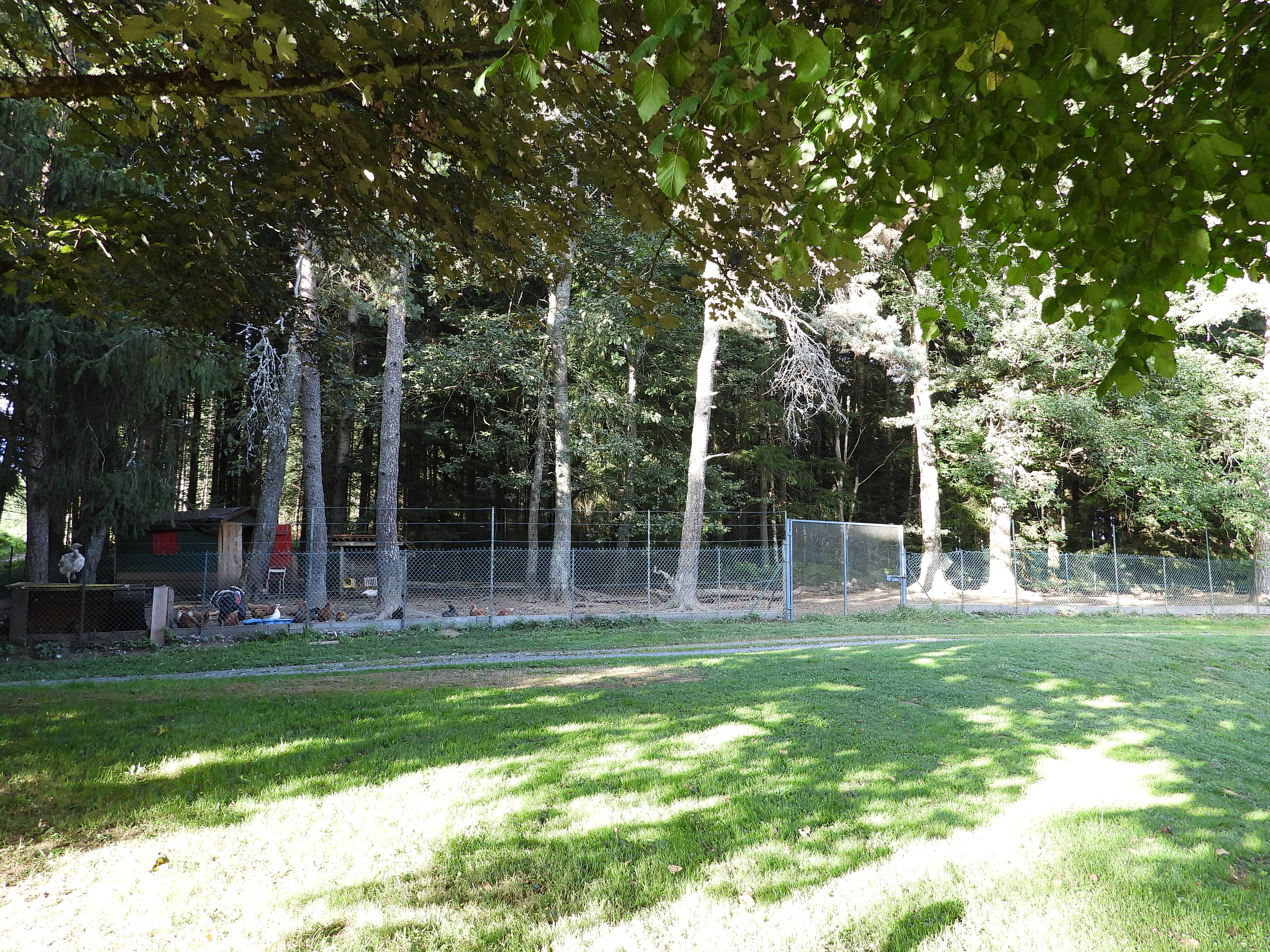 Photo n° 29 de l'avis de Claude.E fait le 12/09/2021 à 19:58