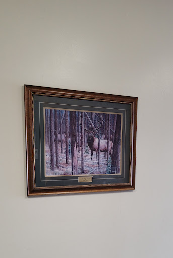 Loan Agency «Mr. Money Payday Loans», reviews and photos