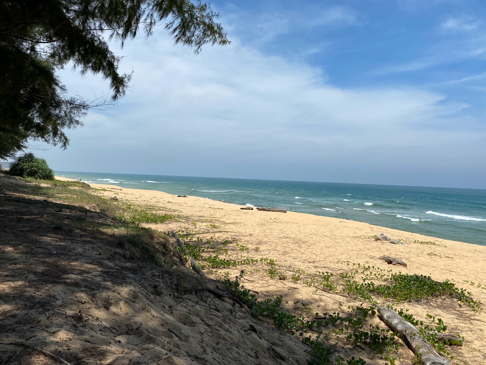 Photo de Pantai Teluk Bidara - endroit populaire parmi les connaisseurs de la détente