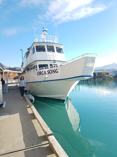 National Park «Kenai Fjords National Park», reviews and photos