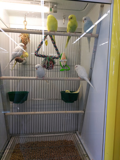 Pet Supply Store «Pet Supplies Plus», reviews and photos, 30450 Lakeshore Blvd, Willowick, OH 44095, USA