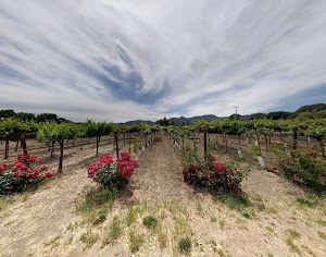 Bell Wine Cellars - photo 45