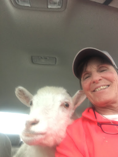 Myhre Equine Clinic image