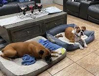 PetSmart Grooming - Car repair in West Covina, CA, West Covina - Rated 4.0/5