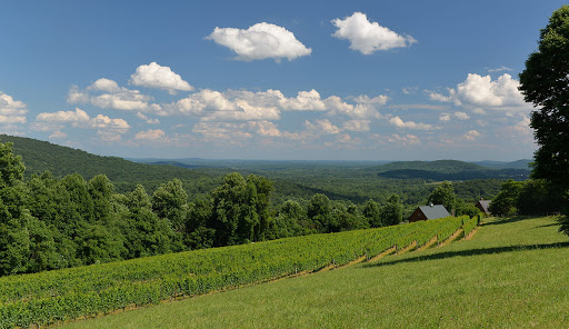 Winery «Chester Gap Cellars», reviews and photos, 4615 Remount Rd, Front Royal, VA 22630, USA