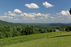 Chester Gap Cellars