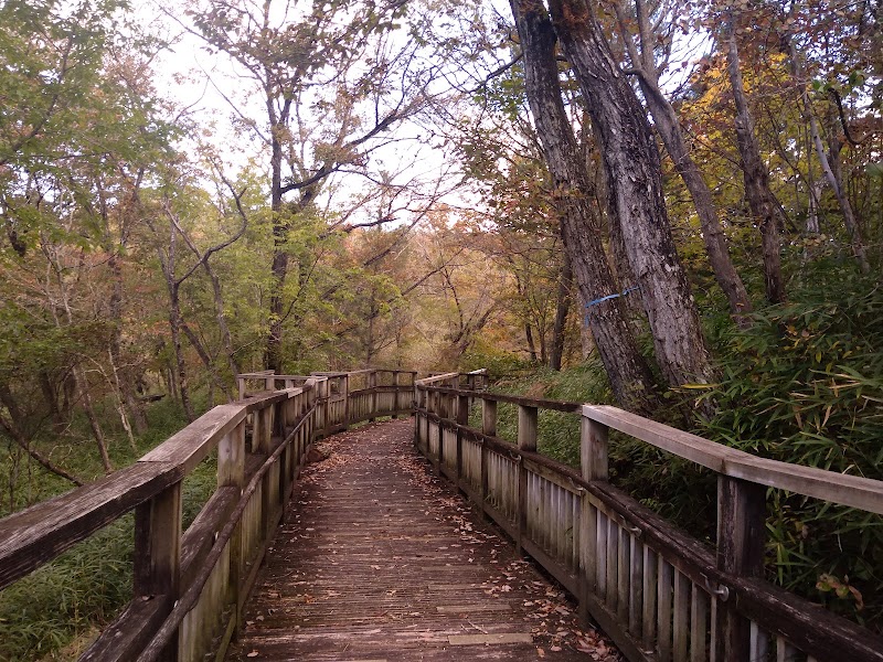 やしろの森公園