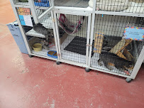 Jefferson Feed, Pet & Garden Center - Photo 7 - Car repair in Jefferson, LA, Metairie