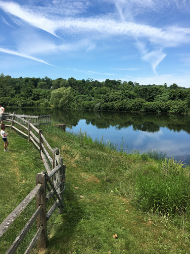 Tourist Attraction «Sunflower Maze», reviews and photos, South St, Middlefield, CT 06455, USA