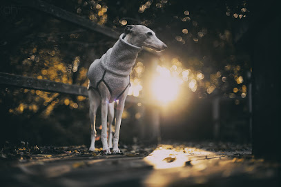 In meinem Licht I Andreas Hüttner I Fotograf