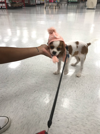 Pet Supply Store «Petco Animal Supplies», reviews and photos, 8111 W Broward Blvd, Plantation, FL 33324, USA