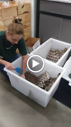 Pet Supply Store «Pet Supermarket», reviews and photos, 151 E Van Fleet Dr, Bartow, FL 33830, USA