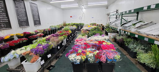 Florist «Sequoia Floral International», reviews and photos, 3245 Santa Rosa Ave, Santa Rosa, CA 95407, USA