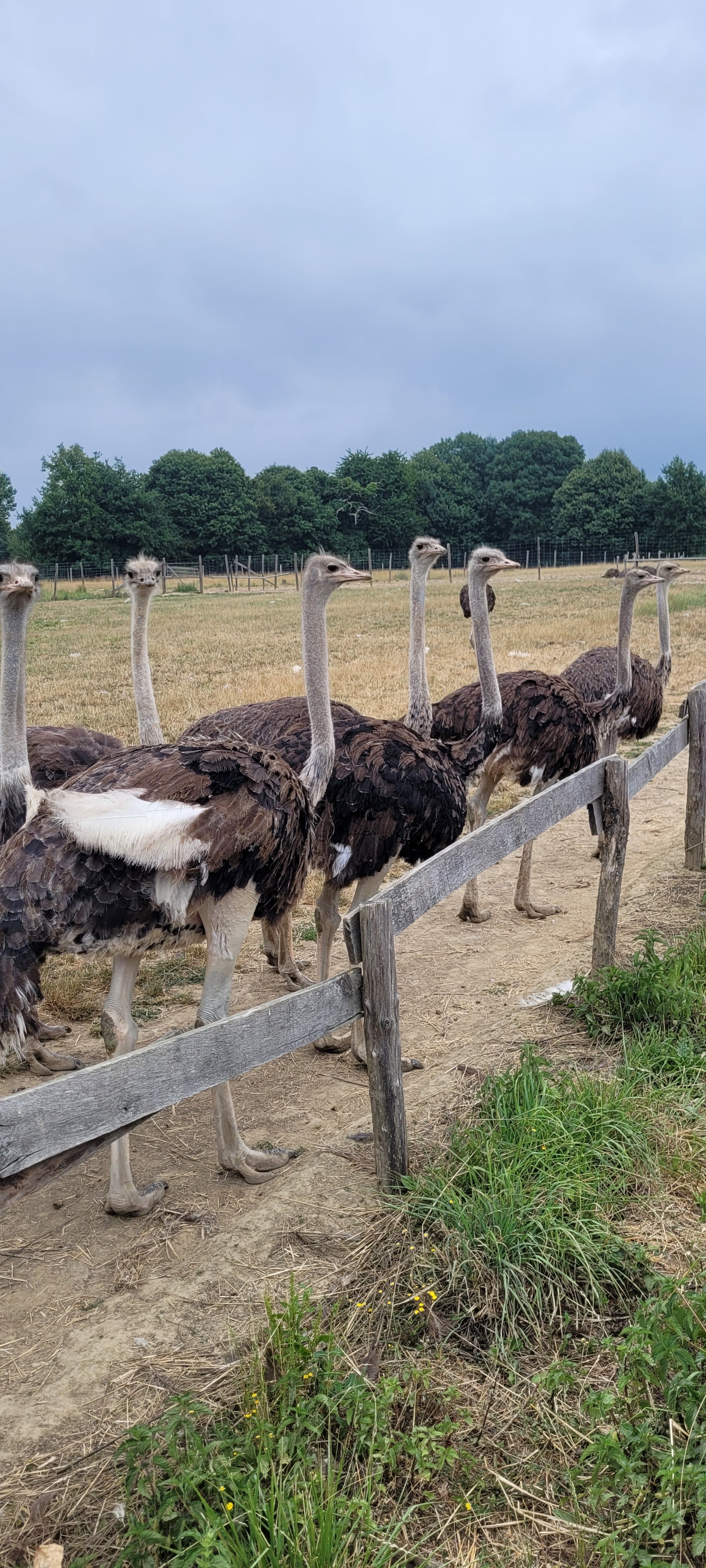 Photo n° 3 de l'avis de Nassima.o fait le 30/07/2022 à 21:47