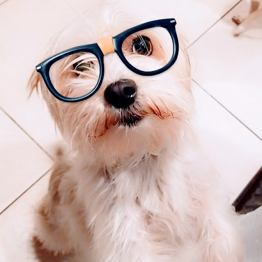 Pet Supply Store «Park Feed Store & Pet Supply», reviews and photos, 5775 Park Blvd N, Pinellas Park, FL 33781, USA