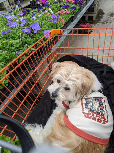 Home Improvement Store «The Home Depot», reviews and photos, 1055 N Colony Rd, Wallingford, CT 06492, USA