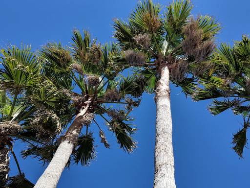 Amusement Park «Daytona Lagoon», reviews and photos, 601 Earl St, Daytona Beach, FL 32118, USA