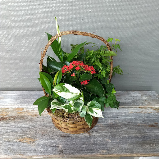 Florist «Eureka Florist», reviews and photos, 524 Henderson St, Eureka, CA 95501, USA