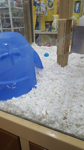Pet Supply Store «Pet Supermarket», reviews and photos, 7822 Gall Blvd, Zephyrhills, FL 33541, USA