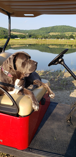 4048 Lake Ave, Lockport, NY 14094, USA