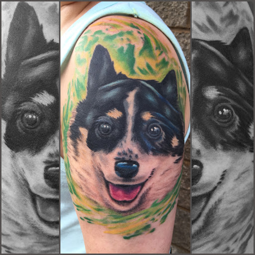 Body Piercing Shop «Wasted Youth Tattoo & PMA Piercing», reviews and photos, 1335 Lakeside Dr #1, Romeoville, IL 60446, USA