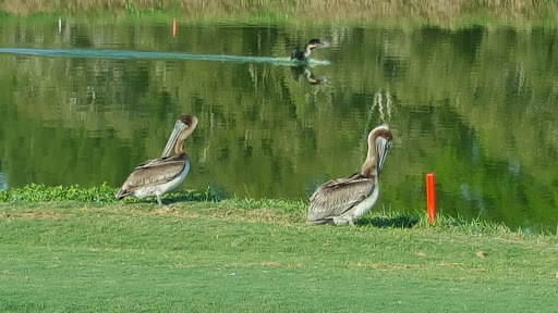 Golf Club «Pompano Beach Golf Shop», reviews and photos, 1101 N Federal Hwy, Pompano Beach, FL 33062, USA