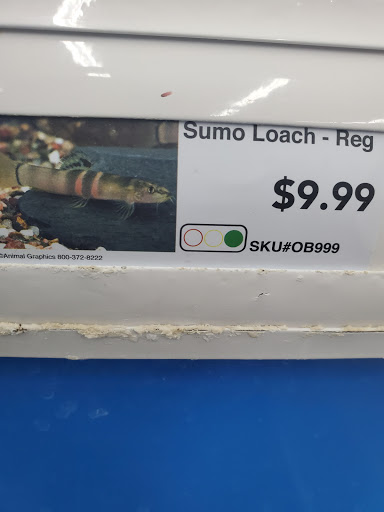 Pet Supply Store «Pet Supermarket», reviews and photos, 4445 E Bay Dr, Clearwater, FL 33764, USA