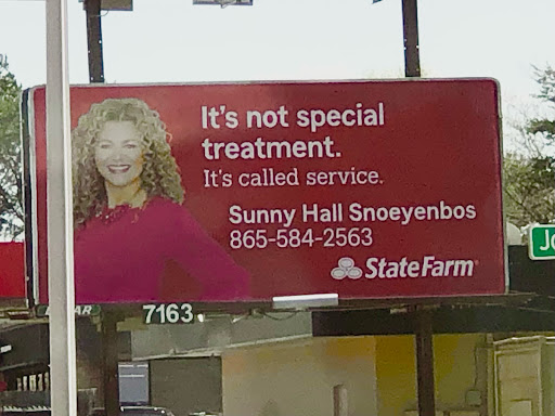 Insurance Agency «Sunny Hall - State Farm Insurance Agent», reviews and photos