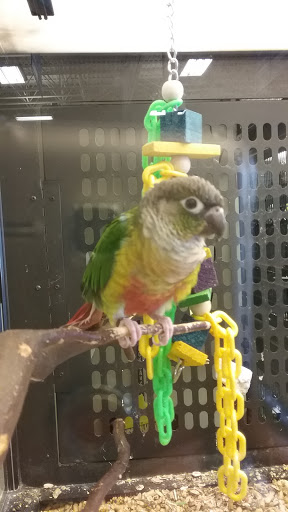 Pet Supply Store «PetSmart», reviews and photos, 5001 Sergeant Rd, Sioux City, IA 51106, USA