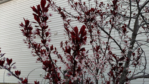 Golf Course «Winding Ridge Golf Club», reviews and photos, 5450 Bogey Dr, Indianapolis, IN 46235, USA