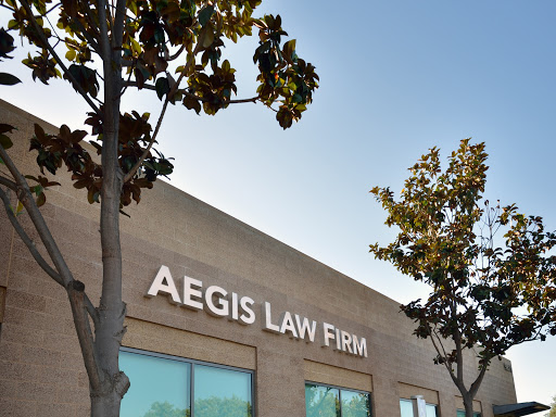 Employment Attorney «Aegis Law Firm», reviews and photos