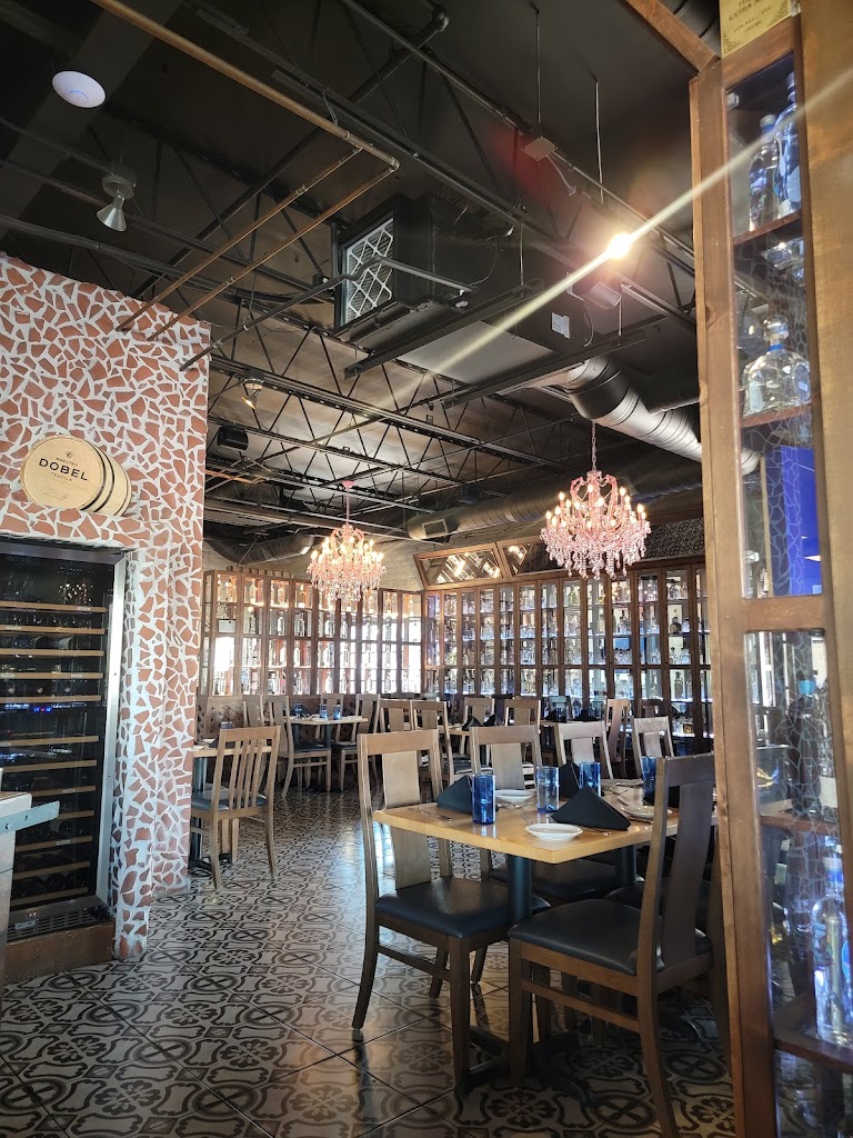 Agave del Scottsdale 85258