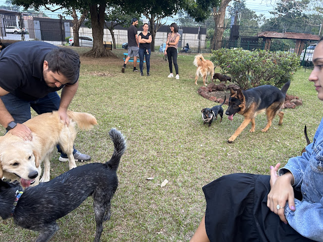 Perro Tico We Love Dogs