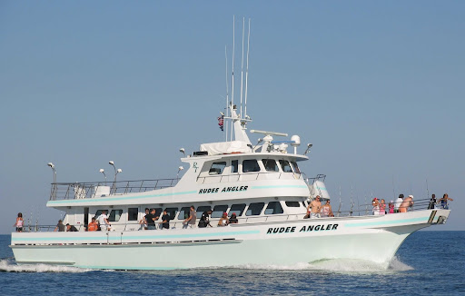 Whale watching tour agency Norfolk