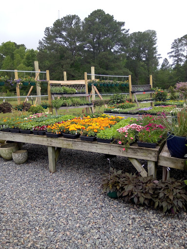 Supermarket «Best Value Supermarket», reviews and photos, 10748 Buckley Hall Rd, Mathews, VA 23109, USA