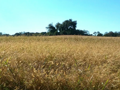 Park «Perrineville Lake Park», reviews and photos, 143 Baird Rd, Millstone, NJ 07726, USA