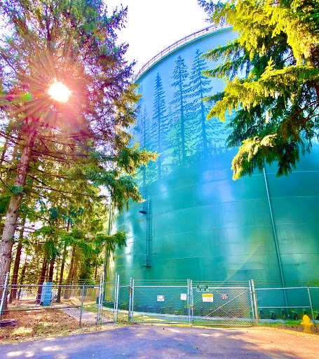 Park «Mark Twain Park», reviews and photos, 10625 132nd Ave NE, Kirkland, WA 98033, USA