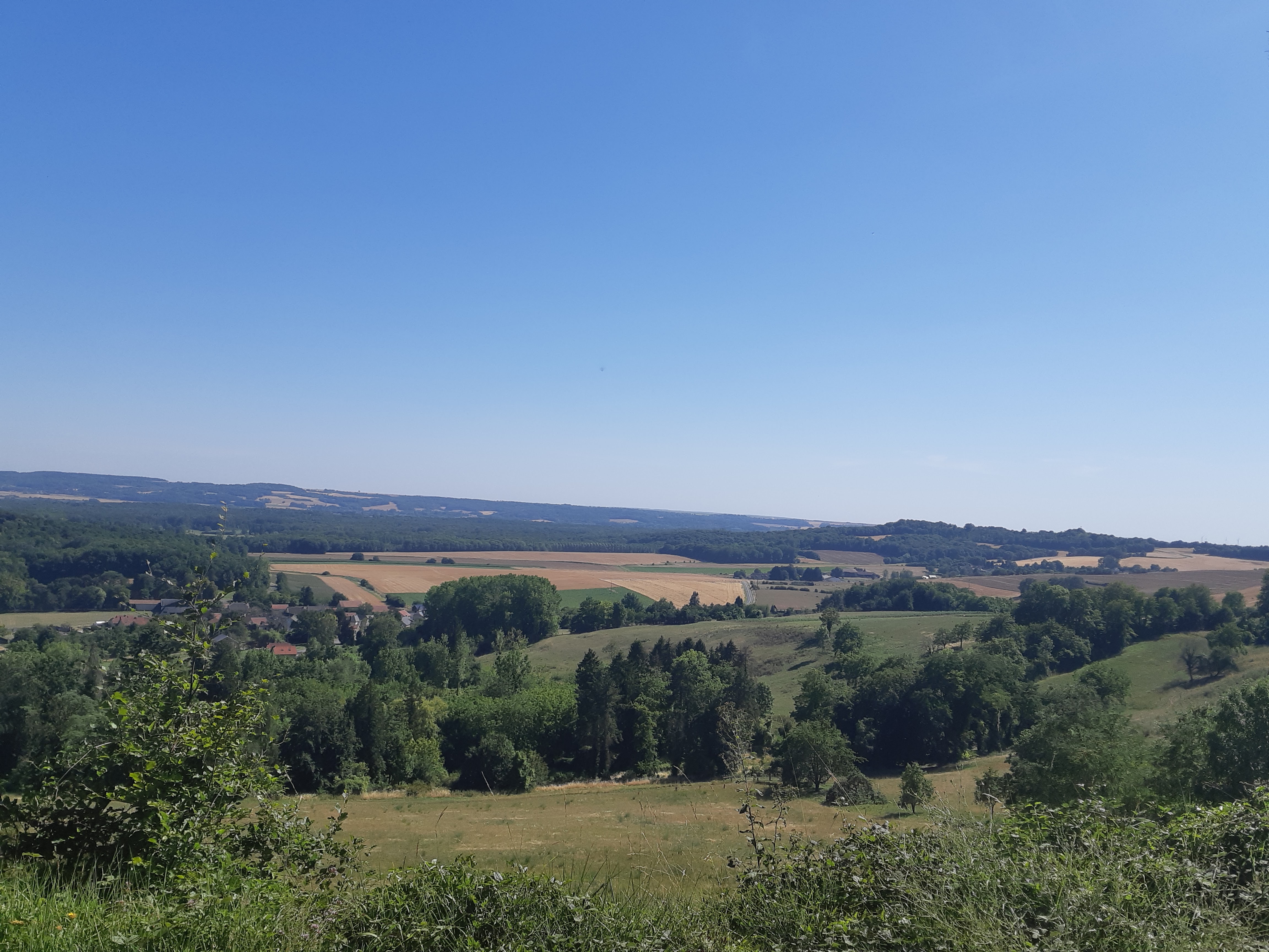 Photo n° 1 de l'avis de Vérone.d fait le 22/07/2020 à 15:35