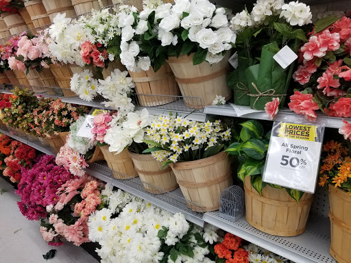 Craft Store «Michaels», reviews and photos, 130 Lincoln Square, Arlington, TX 76011, USA